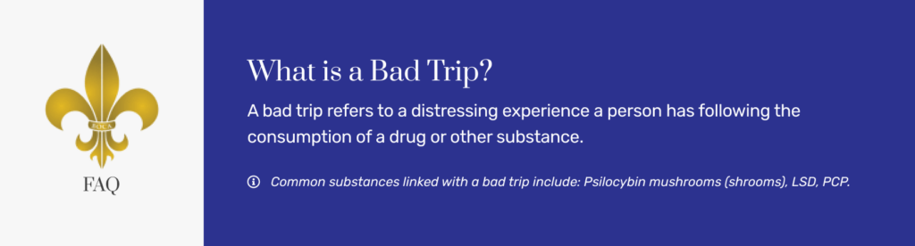 what is bad trip about