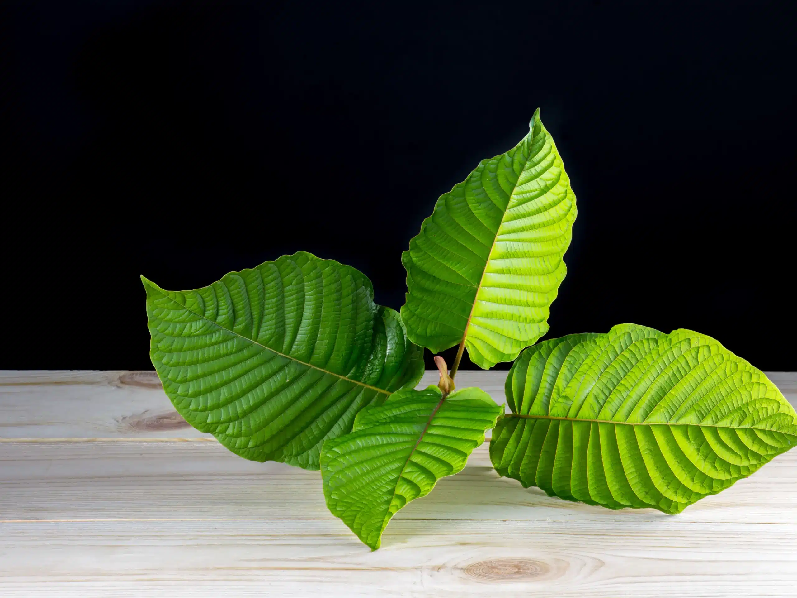 Kratom leaves (Mitragyna speciosa) are placed on a wooden table against a black background.